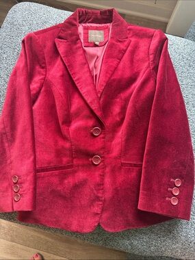 The Limited Ruby Red Velvet Blazer